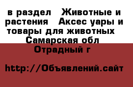  в раздел : Животные и растения » Аксесcуары и товары для животных . Самарская обл.,Отрадный г.